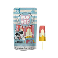 Pup Ice🐶Summer Ice Cream Rocket Lollies Banana & Strawberry 2pc
