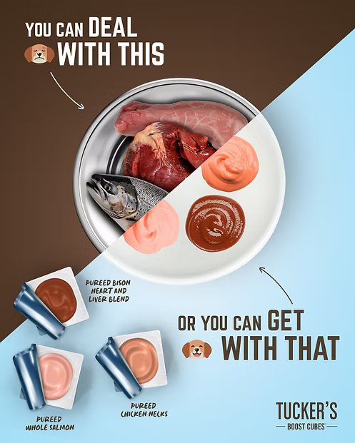 Tucker's🐱🐶Raw Frozen Boost Cube Whole Grinds Pureed Salmon 1lb