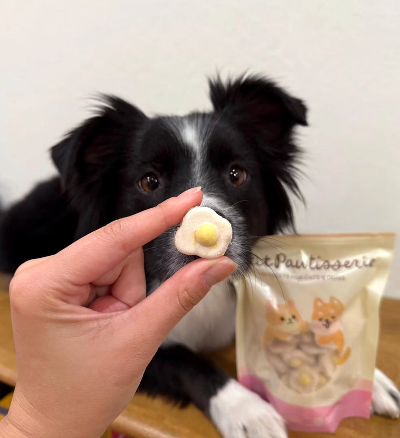 Petit🐱🐶Freeze Dried Sunny Eggs Chicken Egg Yolk 50g