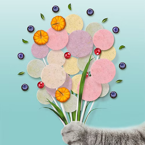 Ranova🐱Freeze Dried Lollipops Mixed Flavor 25pc