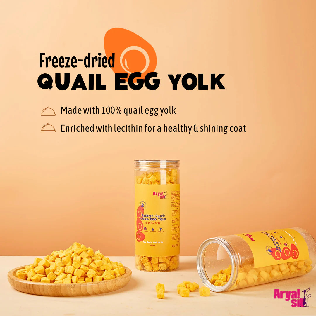 AryaSit🐱🐶Freeze Dried Egg Yolk Bites 12.3oz