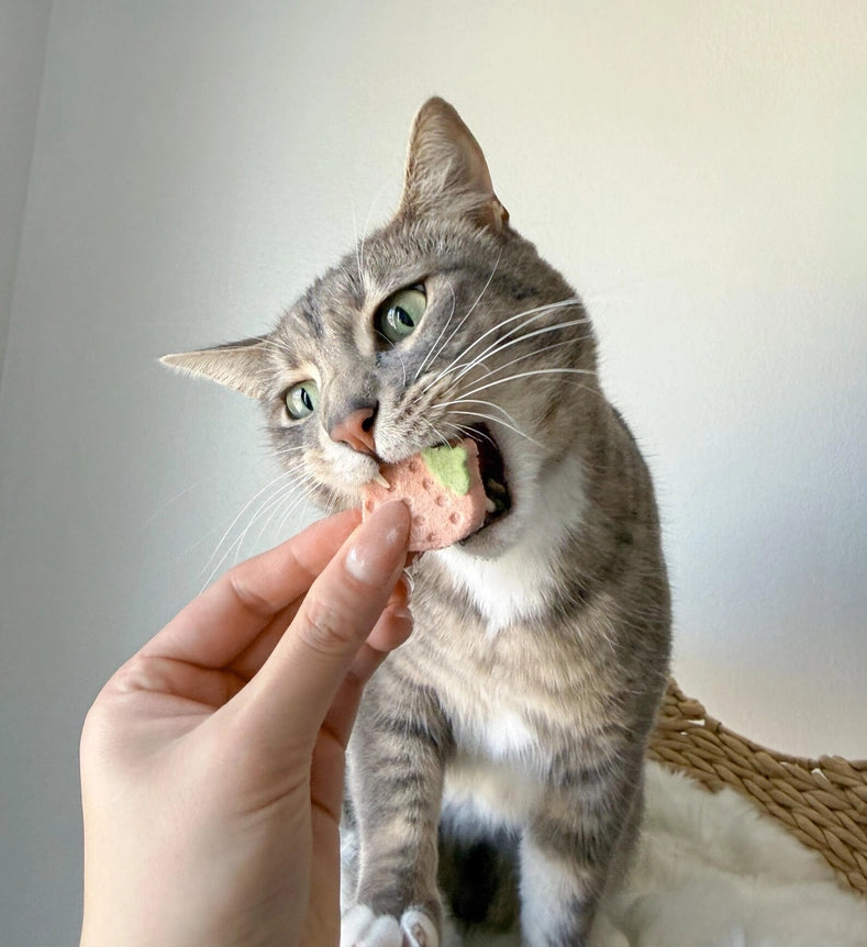 Petit🐱🐶Freeze Dried Strawberry Yogurt 40g