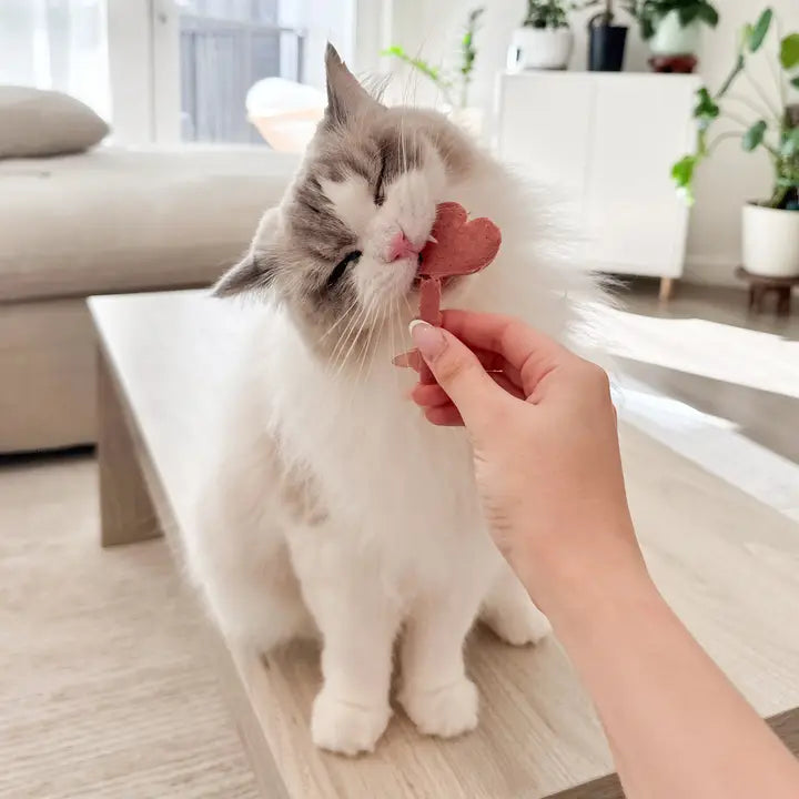 Petit🐱🐶Freeze Dried Lollipops 8pc