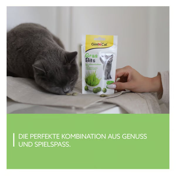 GimCat🐱Crispy Cat Grass Balls 40g