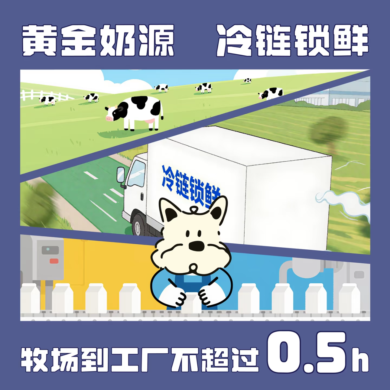 Gomaogo🐶Good Night Milk - Sleep Aid & Anti-Aging 80ml