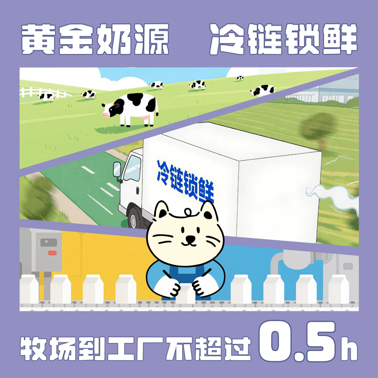 Gomaogo🐱Good Night Milk - Sleep Aid & Urinary Tract 50ml