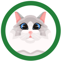 <h2>CAT</h2>
