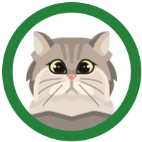 <h2>CAT</h2>