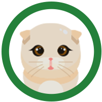 <h2>CAT</h2>