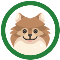 <h2>DOG</h2>