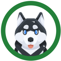 <h2>DOG</h2>