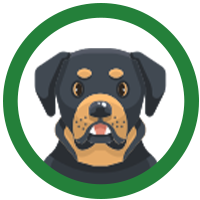 <h2>DOG</h2>