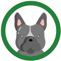 <h2>DOG</h2>