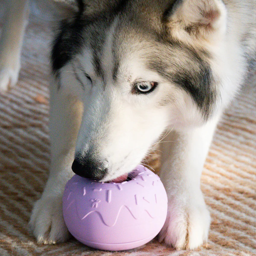 Inooko🐶Occupation Toy Yoomy Donut - Lavender