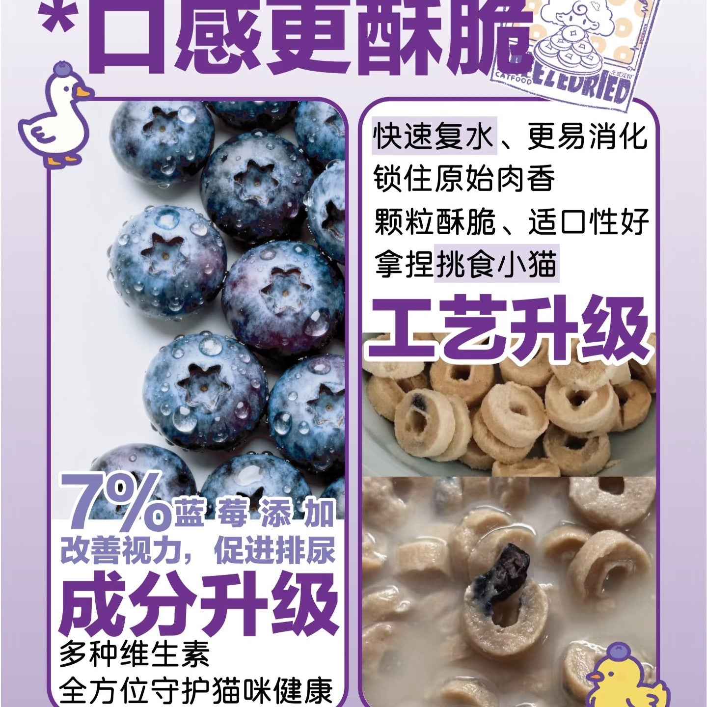 WooStyle🐱Classic Copper Coin - Blueberry Complete Freeze Dried Meal 100g