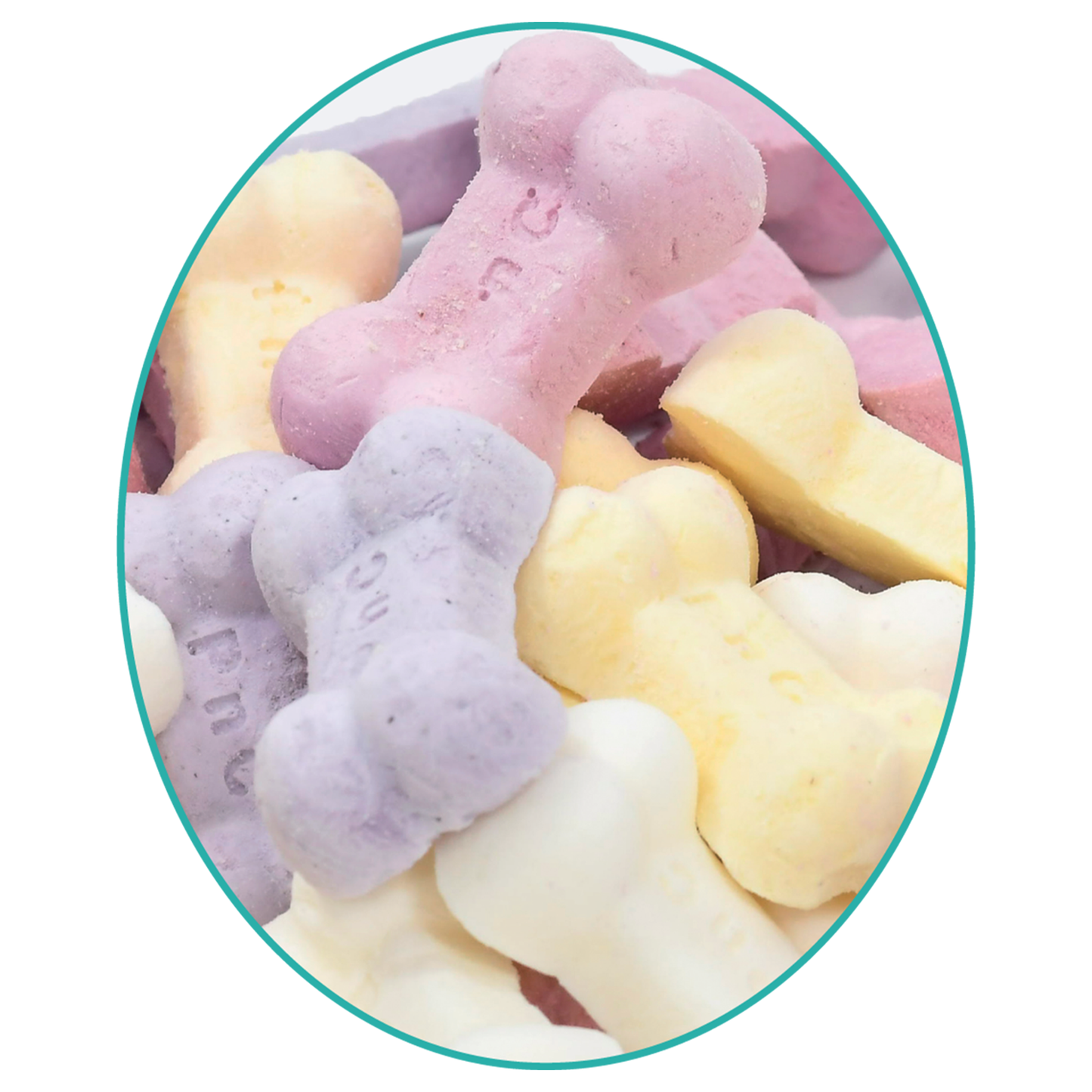 Paws N Chews🐱🐶Freeze Dried Fermented Goat Milk Probiotic 50g