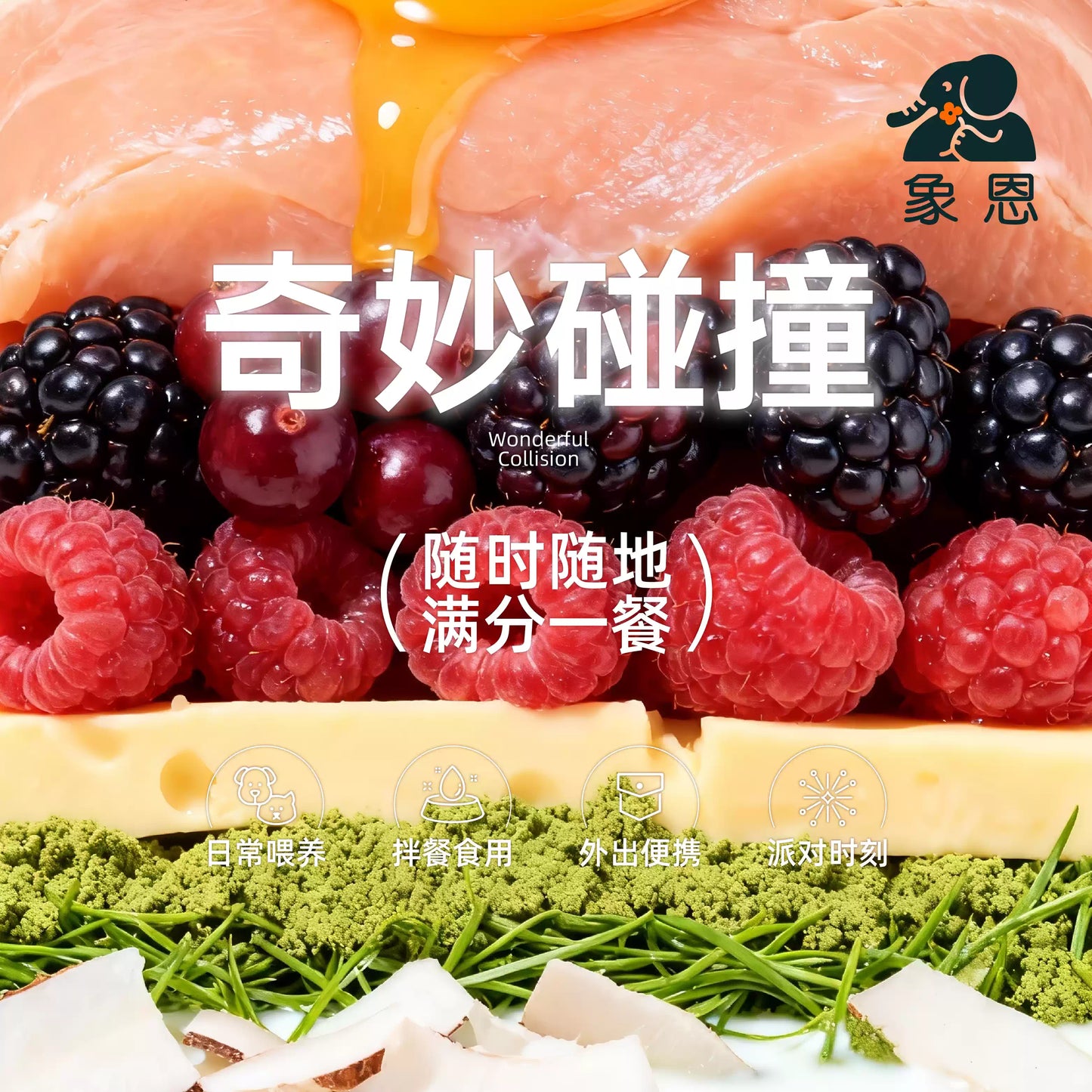 Shinen🐱🐶Rainbow Pudding Tart Complete Wet Food 90g*4