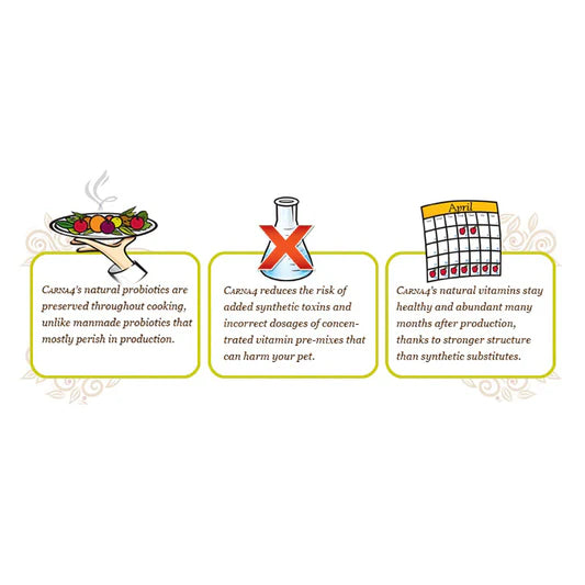 Carna4🐱🐶Flora4® Greens Plus Ground Sprouted Seeds Supplement 18oz