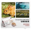 Greatest🐱Freeze Dried Complete Meal Rabbit & Fig 156g